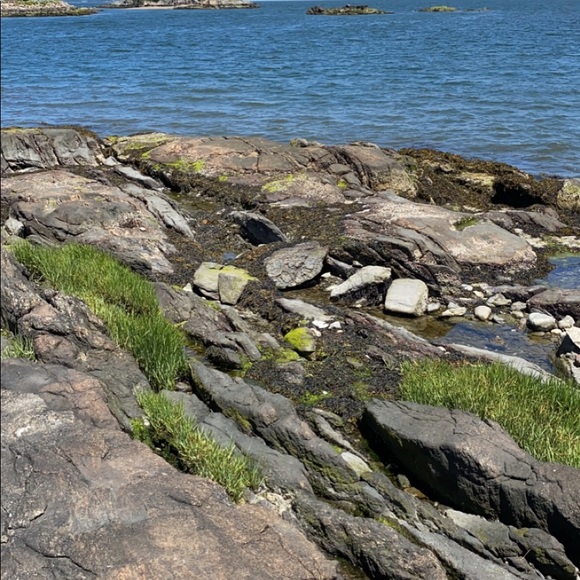 Meet your Posher, Jesus - Picture 1 of 1